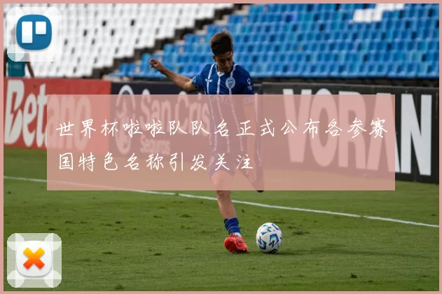 世界杯啦啦队队名正式公布各参赛国特色名称引发关注