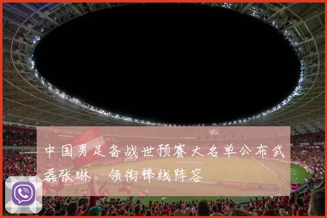 中国男足备战世预赛大名单公布武磊张琳芃领衔锋线阵容