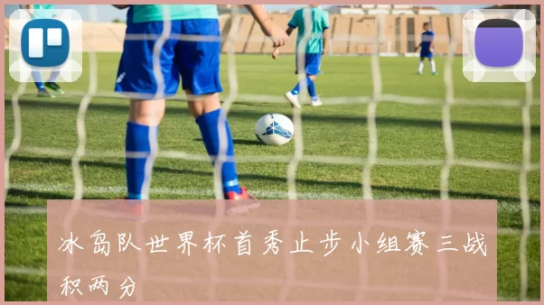 冰岛队世界杯首秀止步小组赛三战积两分
