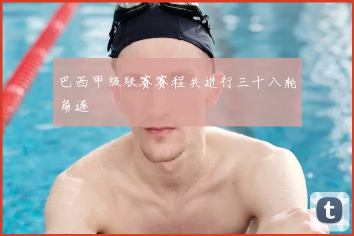巴西甲级联赛赛程共进行三十八轮角逐