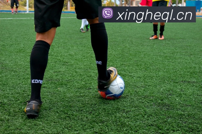 必一·运动(b - Sports)官方网站全站App